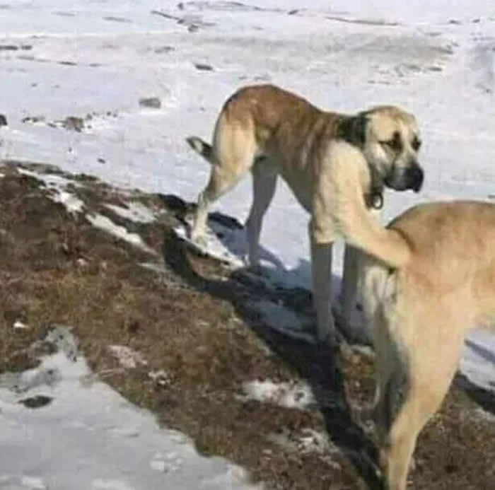 Pogledajte dvaput! 40 zbunjujućih fotografija perspektive koje će prevariti vaše oči - 36 Pogledajte dvaput! 40 zbunjujućih fotografija perspektive koje će prevariti vaše oči - 36