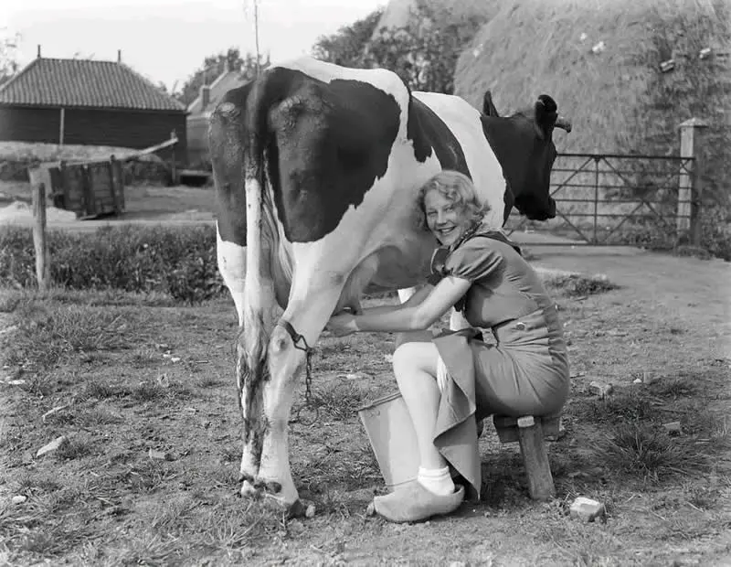 Willem van de Poll: Majstor fotografije koji je zabilježio svijet u promjenama - 21 Willem van de Poll: Majstor fotografije koji je zabilježio svijet u promjenama - 21